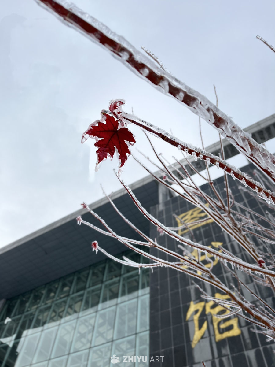 冰封红叶：冬日静谧之美