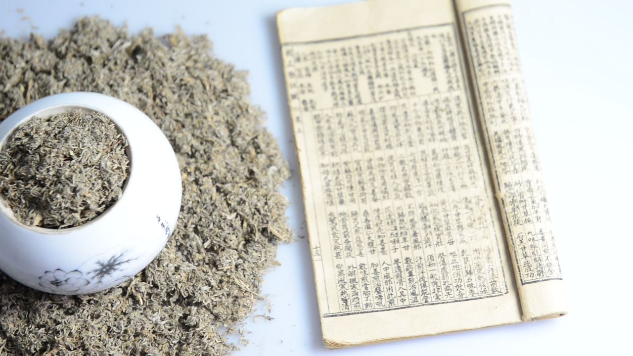 中药材茵陈 2