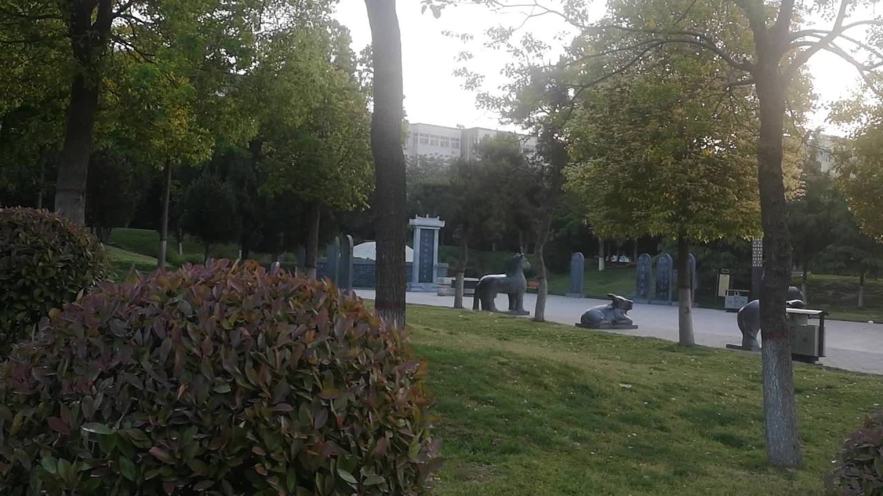 公园晨景