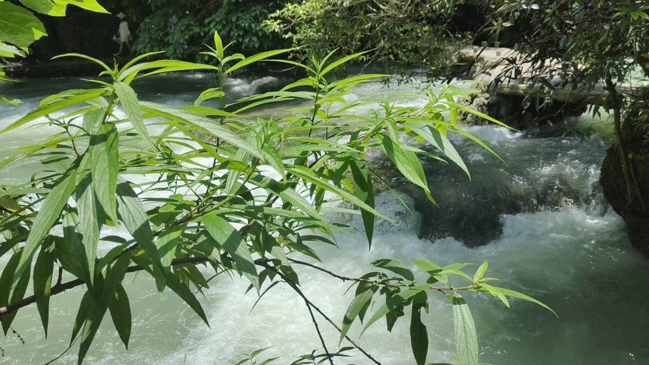 贵州荔波小七孔瀑布