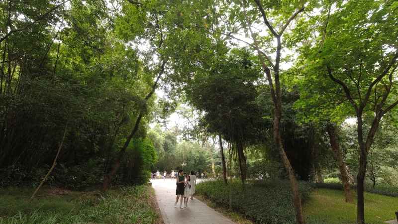 公园 26