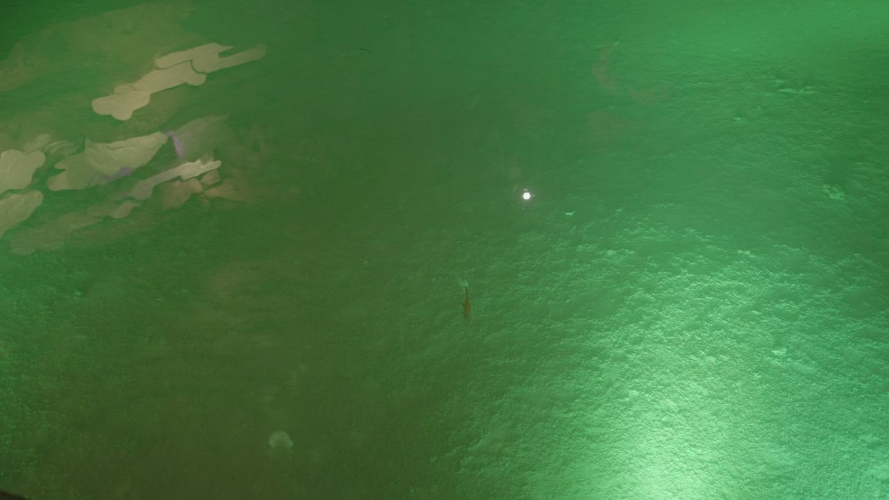 丹泉 9