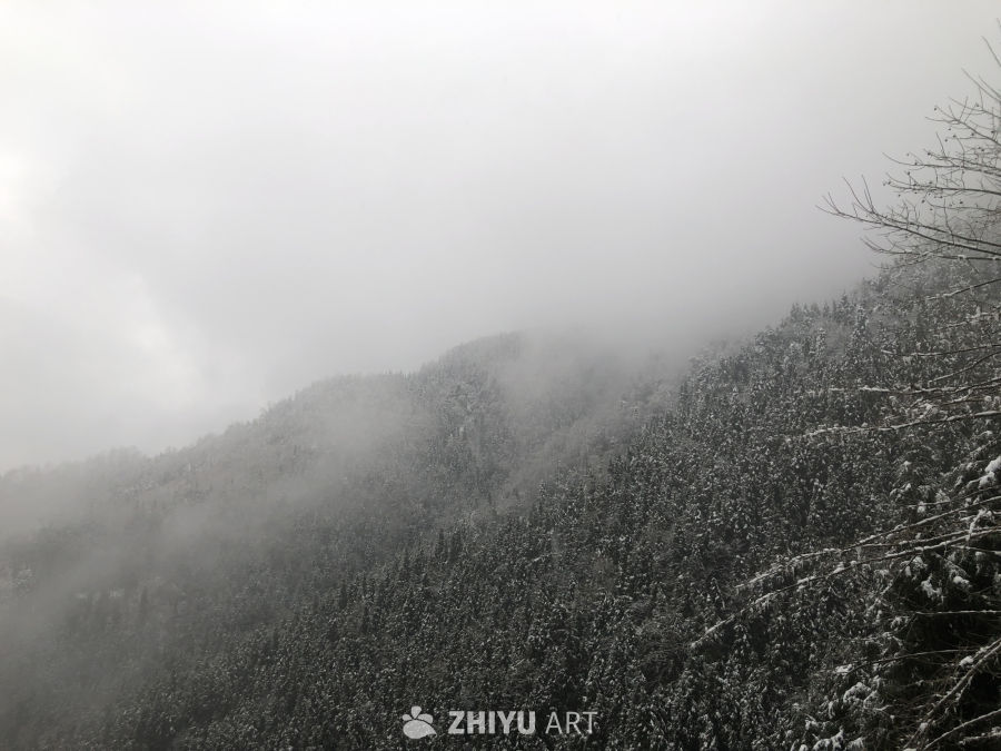雾山雾行