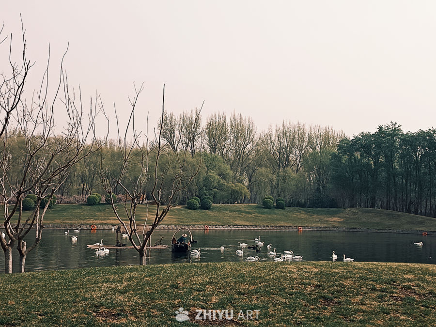 湖畔静谧时光