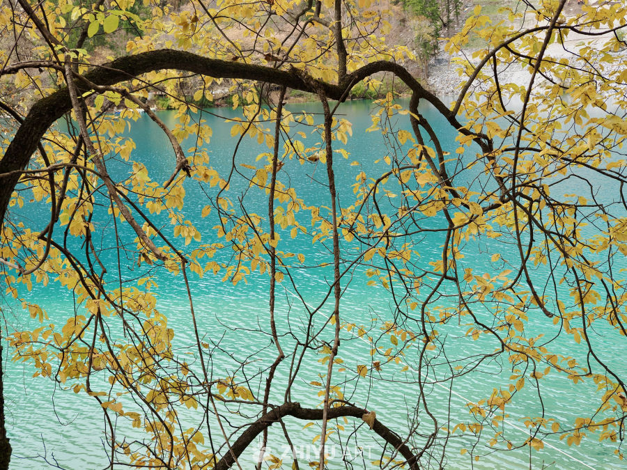 川西九寨/毕棚沟/四姑娘山 11