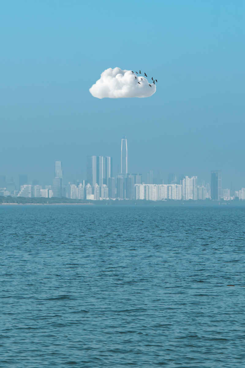 深圳湾公园