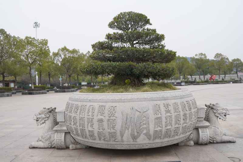 城市 37