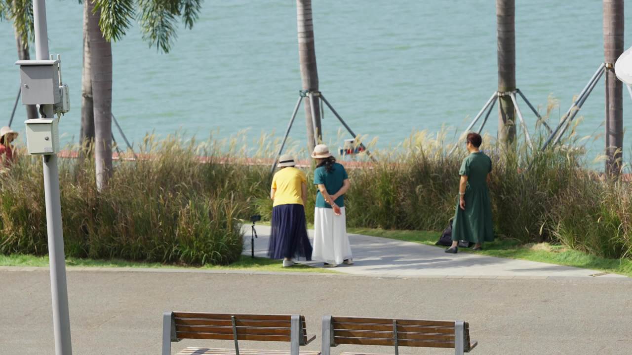 海边的游客