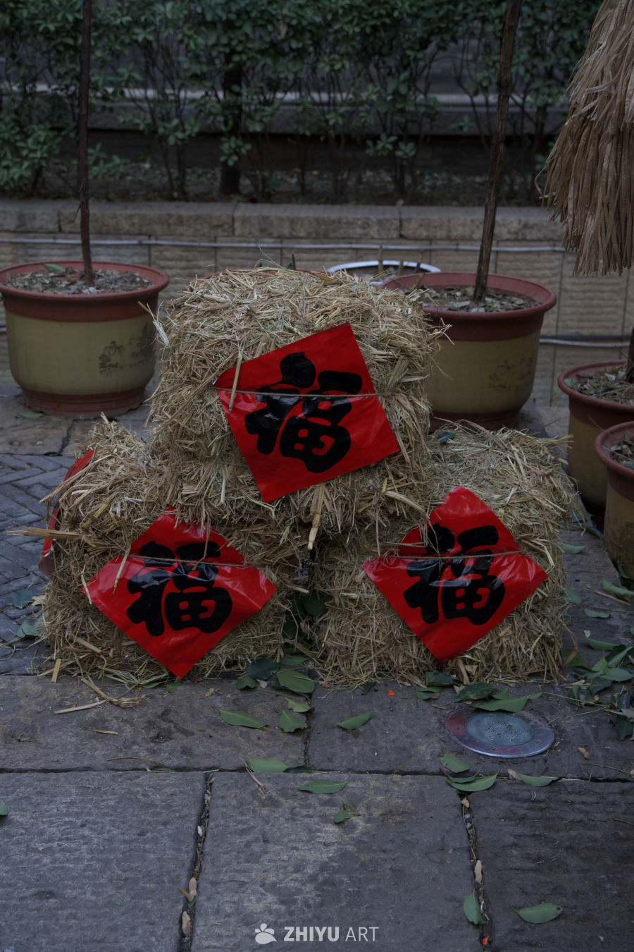 新年 7