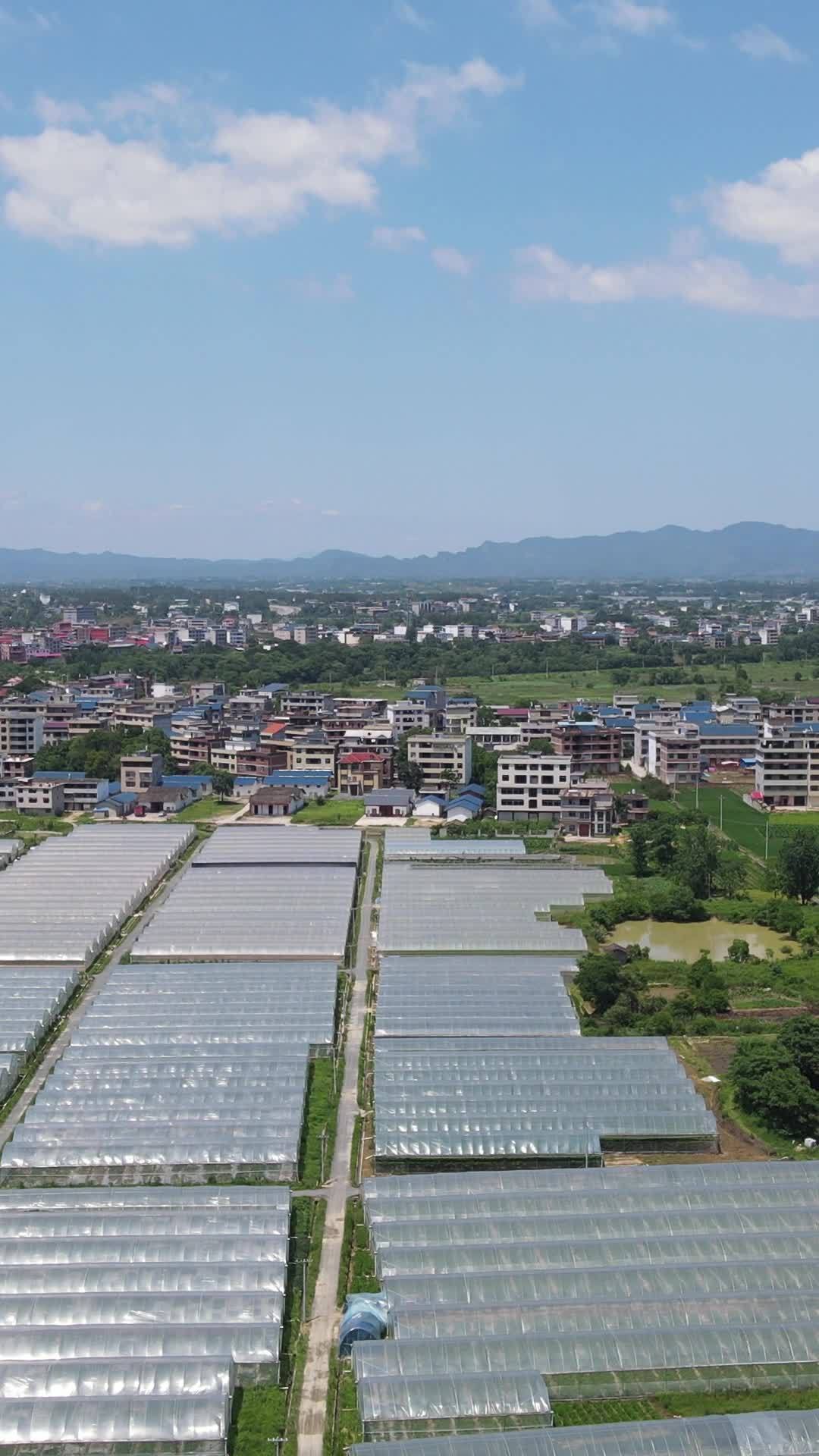 乡村温室全景