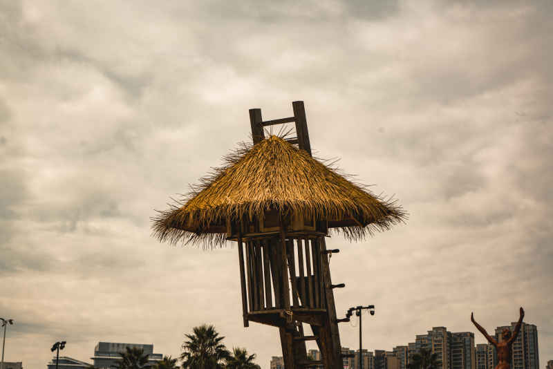 观察