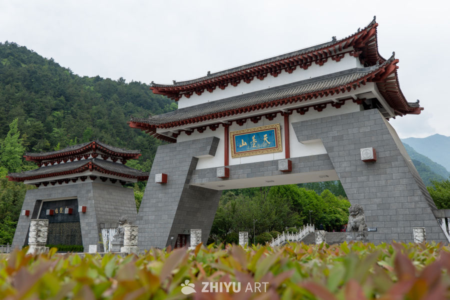 森林公园 14