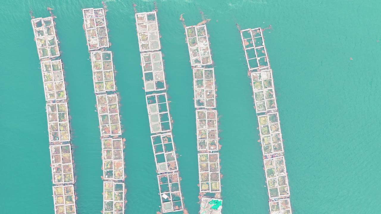 航拍长海岛港口码头