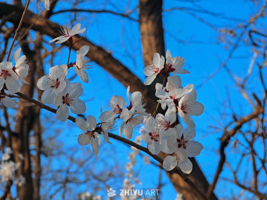 风格摄影随拍 80