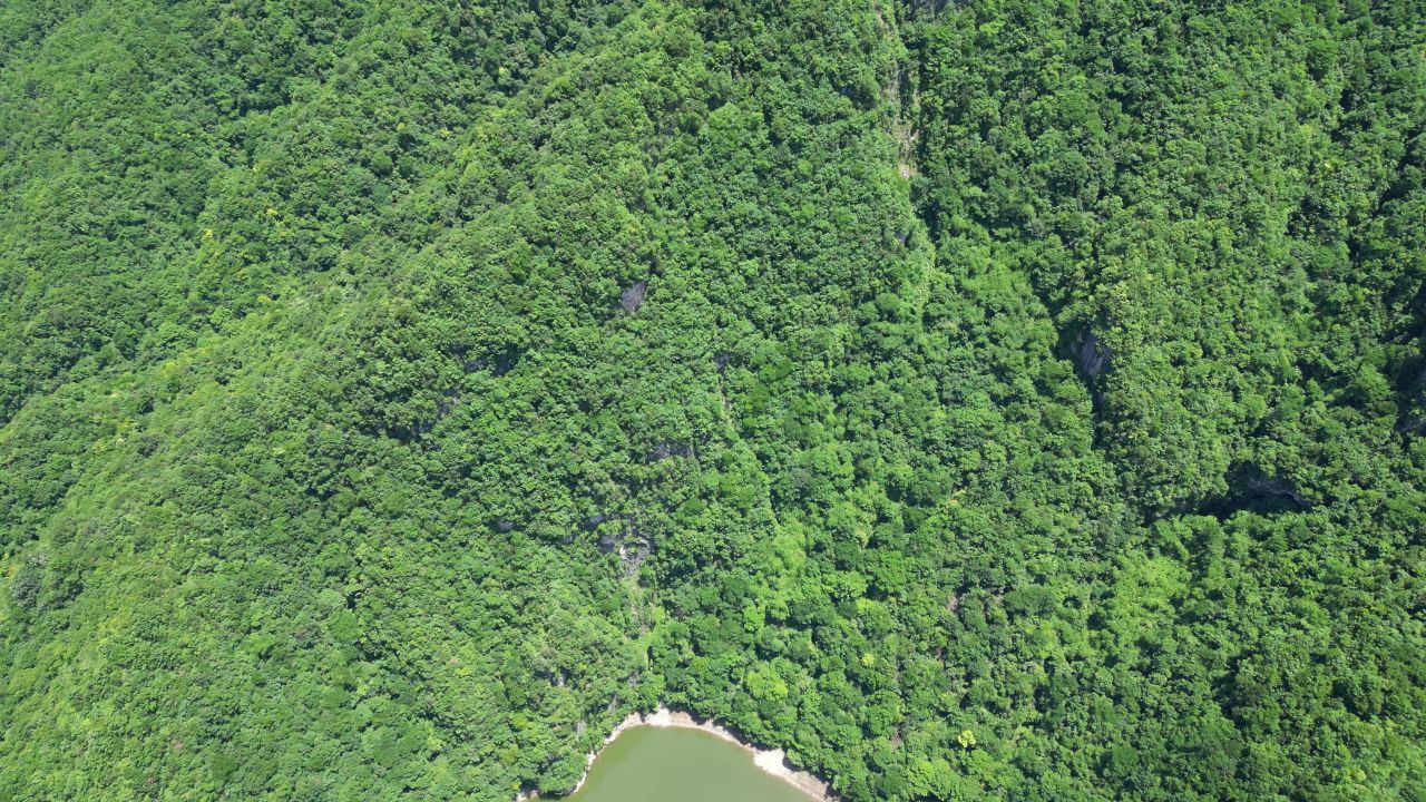 湖北神农架野人谷4A景区航拍 