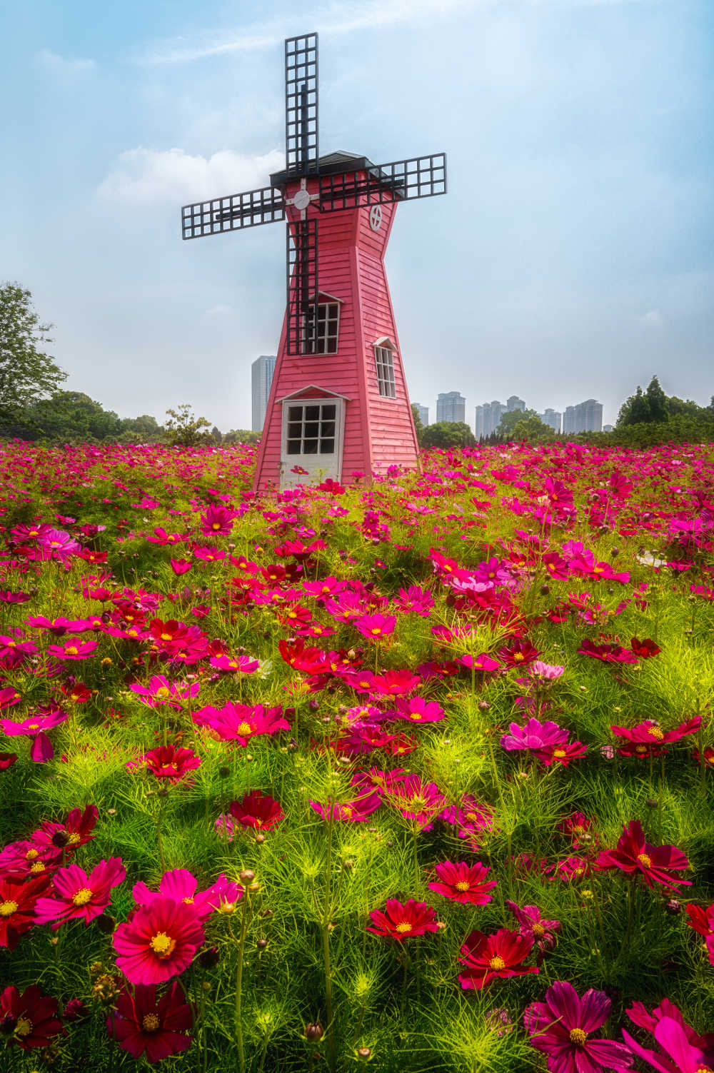 花海风车