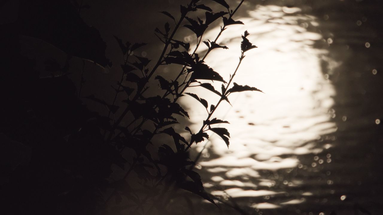 月亮月球夜晚天空皎洁明月长焦特写延时摄影 19
