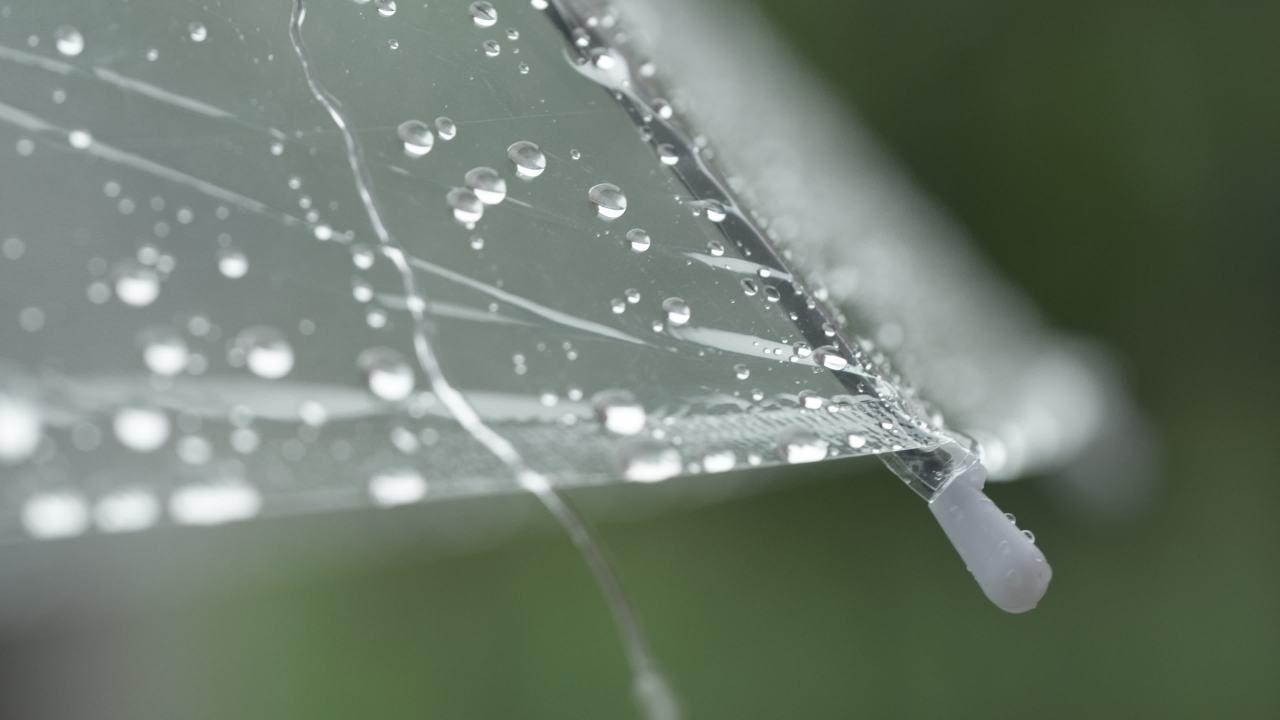 一天下雨水滴 50