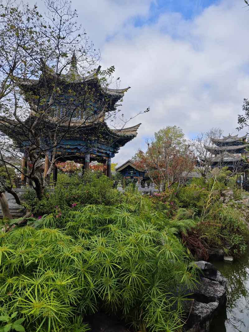 建水游 9