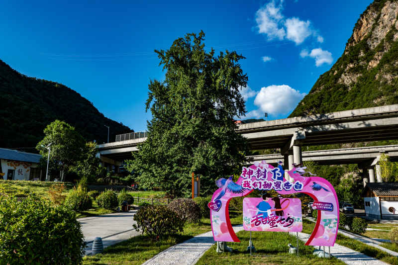 大山里的美景 26