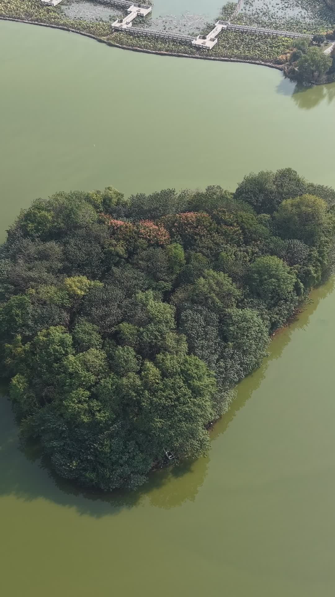 湖中小岛的宁静时光