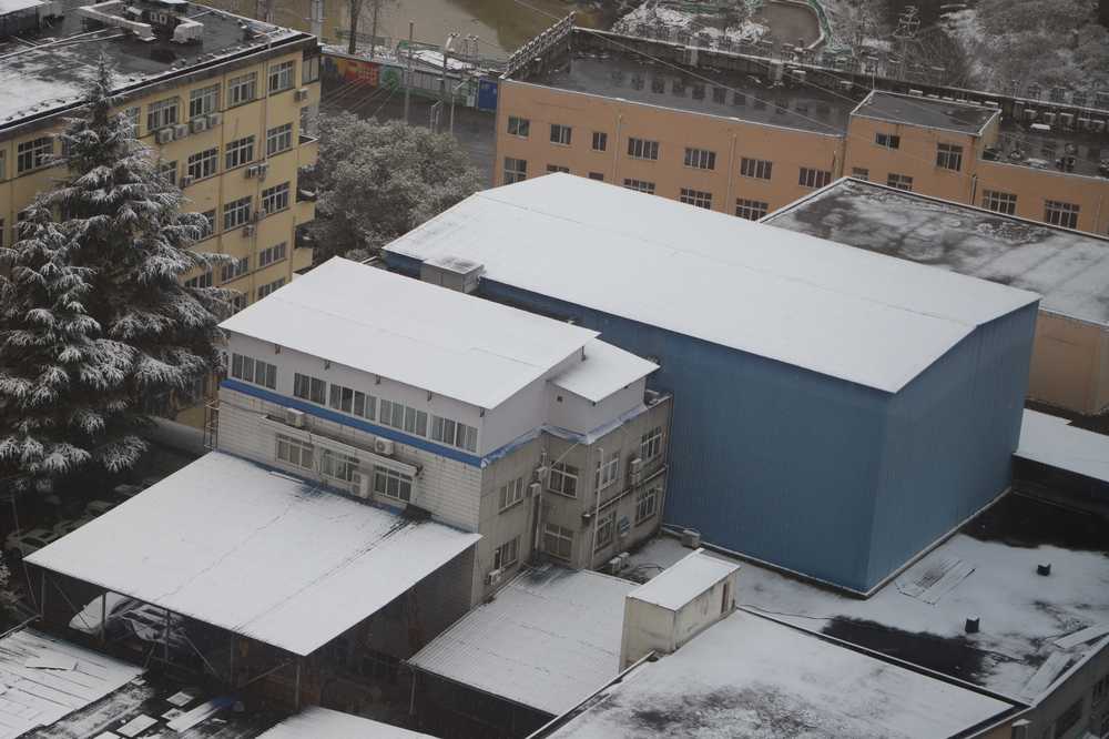 冬雪