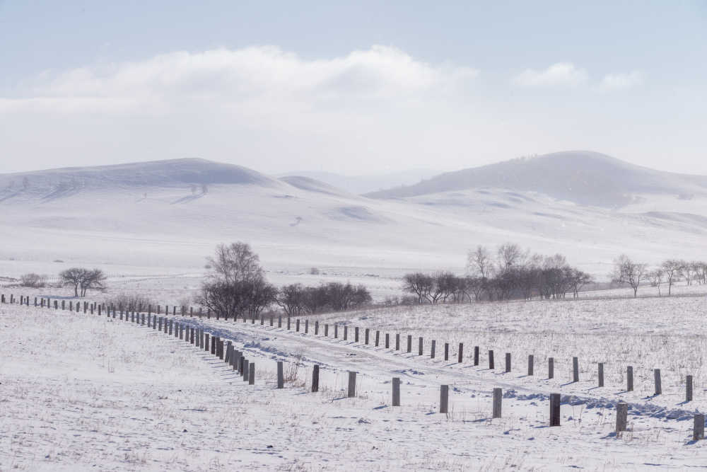 雪后