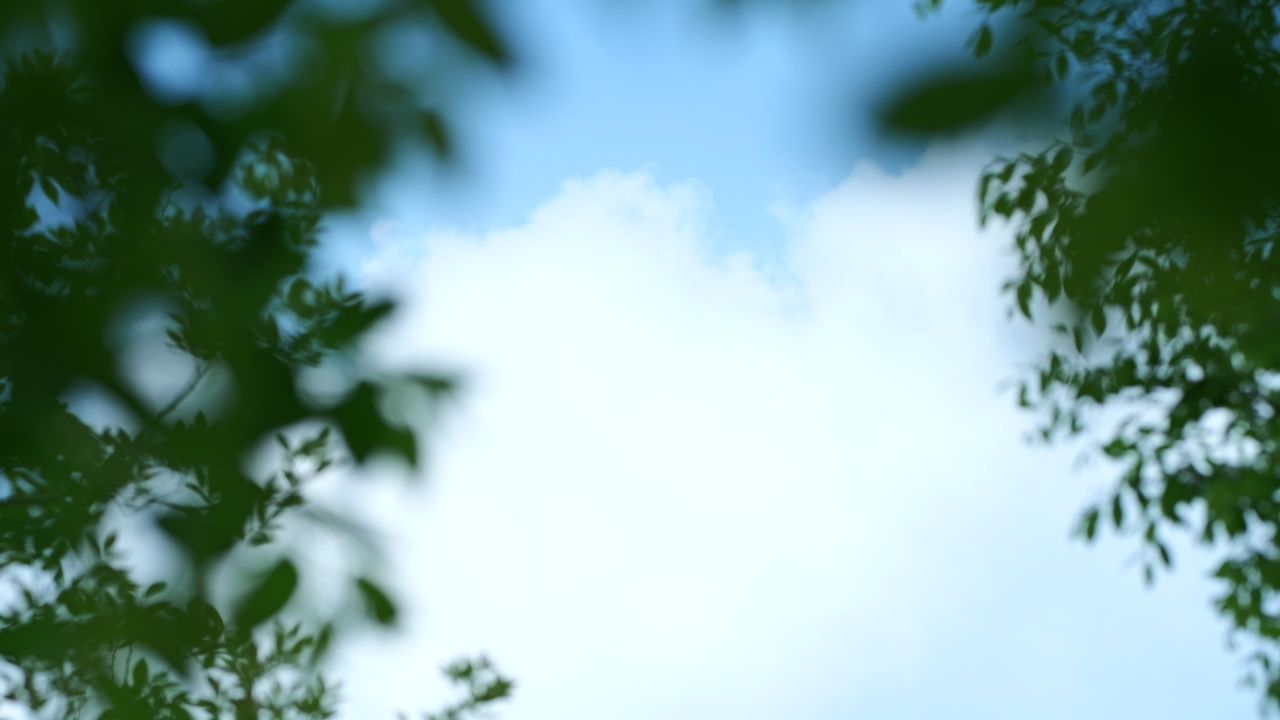 夏天的云彩
