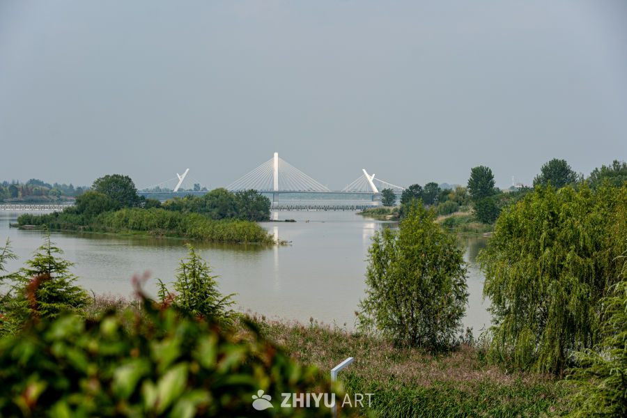 汉江湿地公园 2