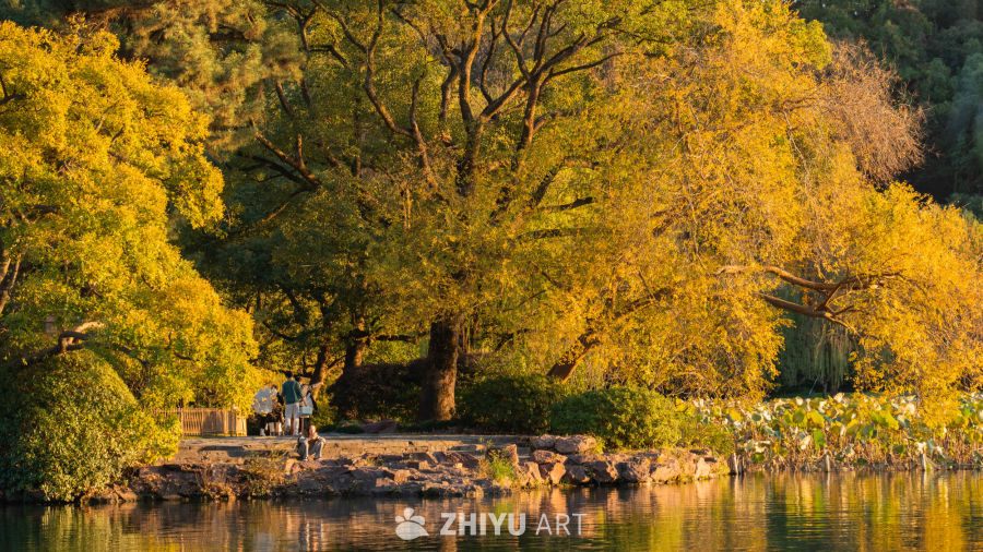 西湖秋天
