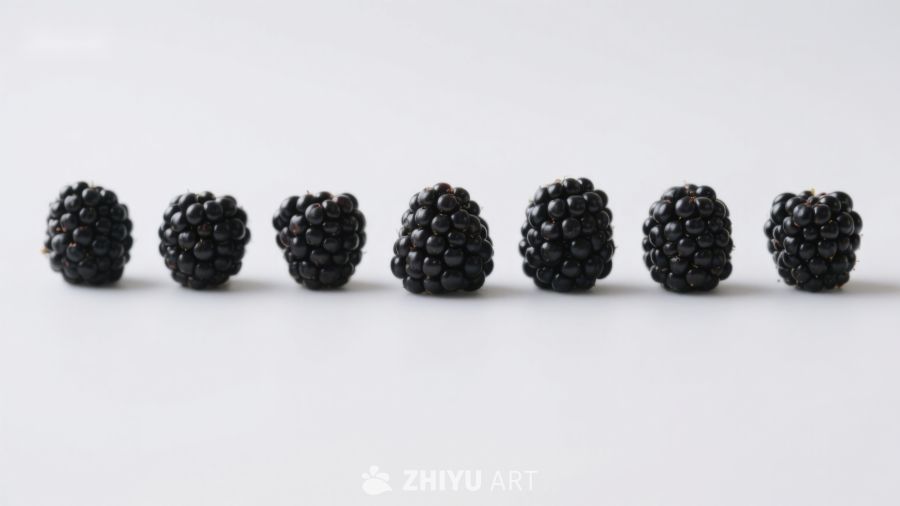 一排整齐的黑莓果实