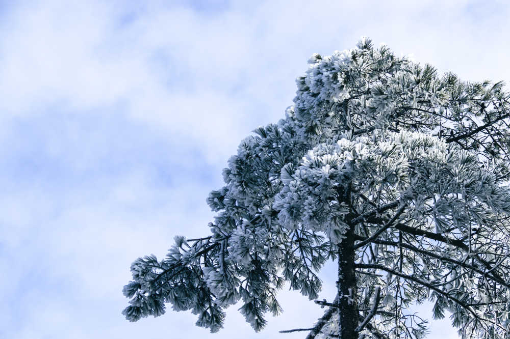 黄山雪景