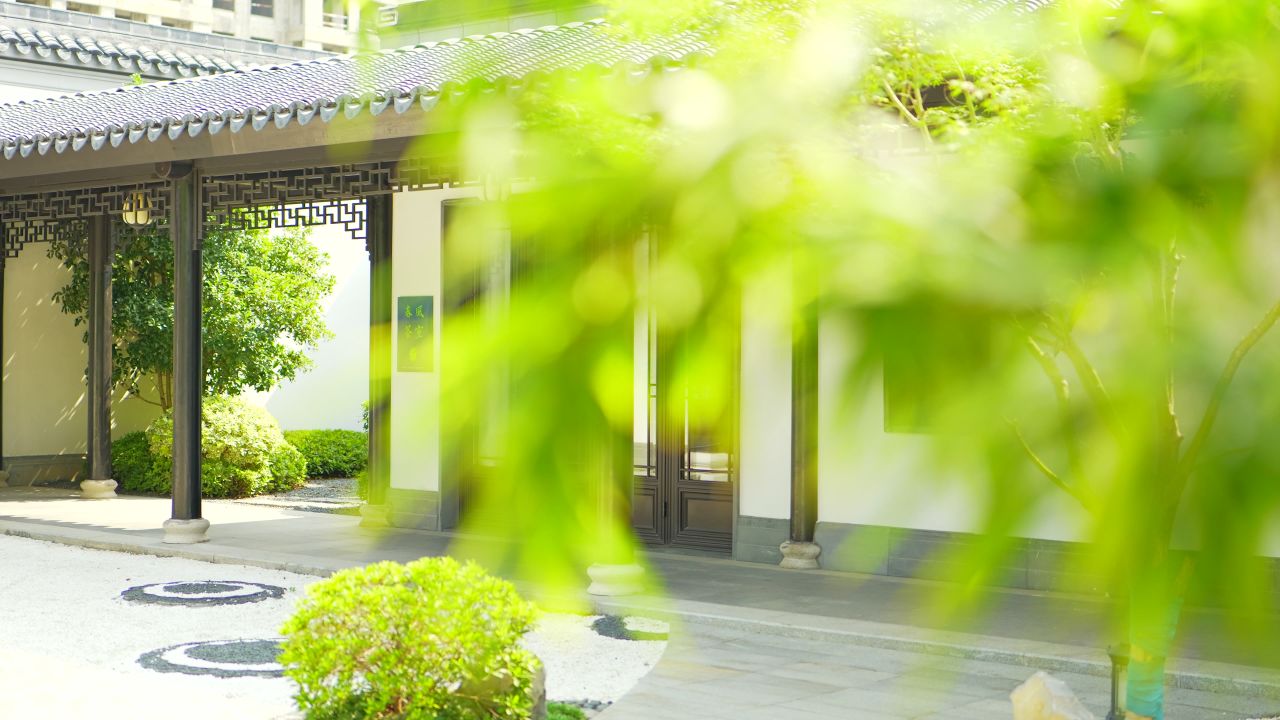 中式合院，枫叶，园林