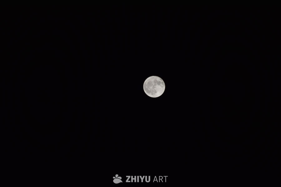 静谧的月夜