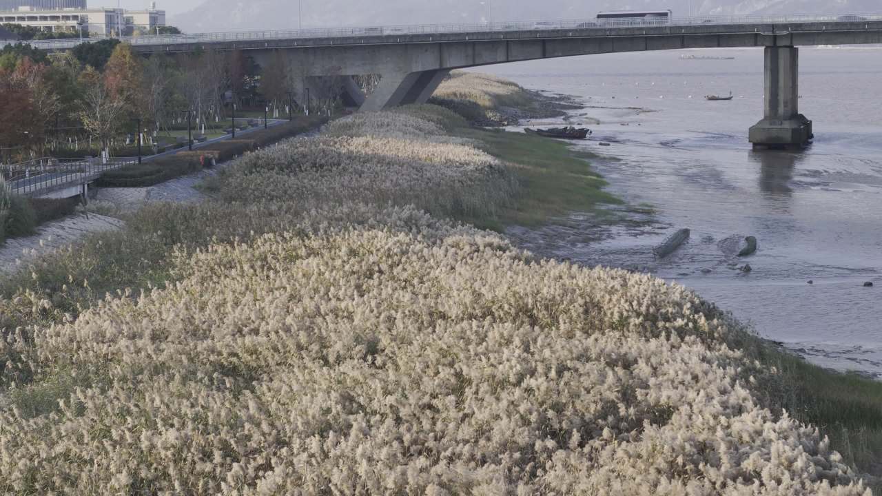 江边公园 10