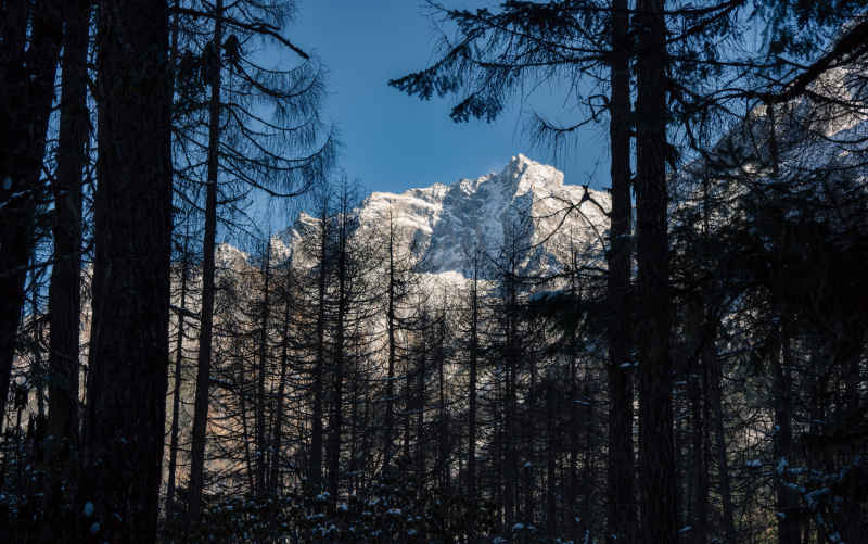 林中雪山