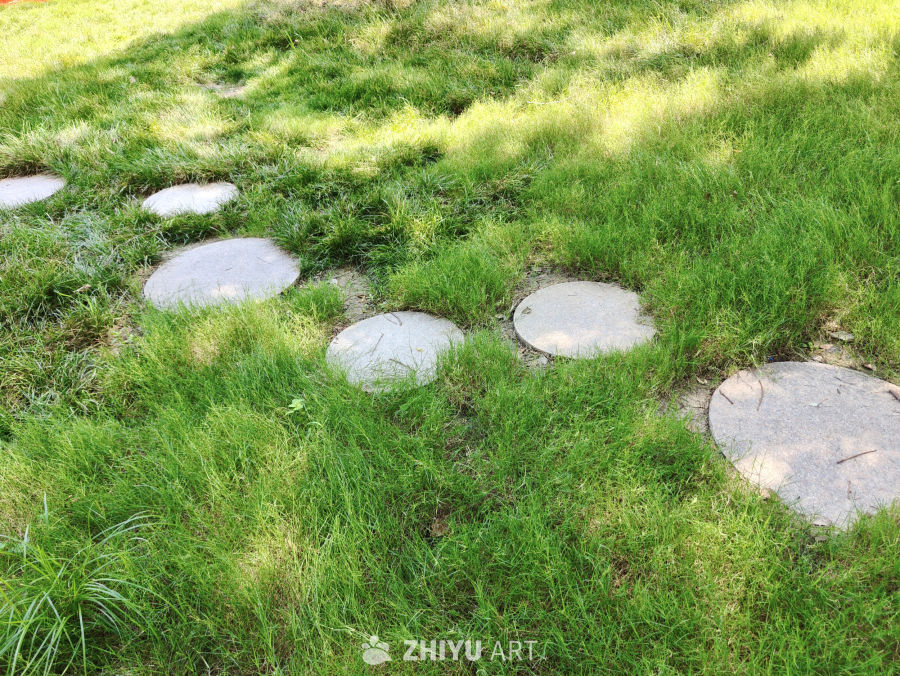 绿色草地上的步道