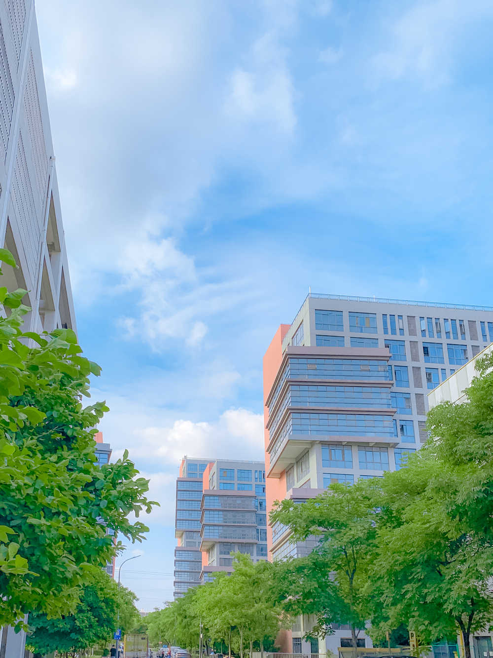 城市