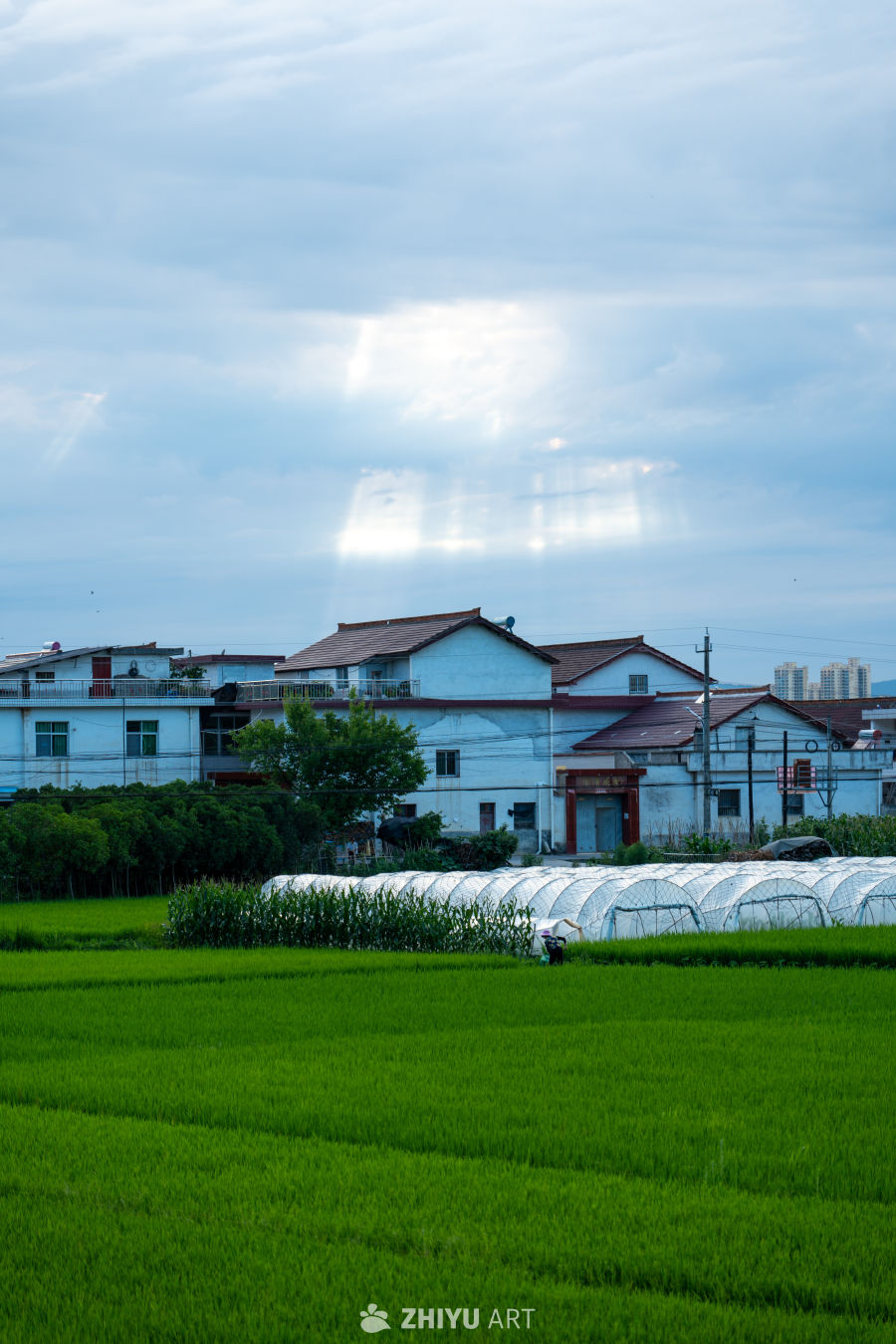城市风景 48