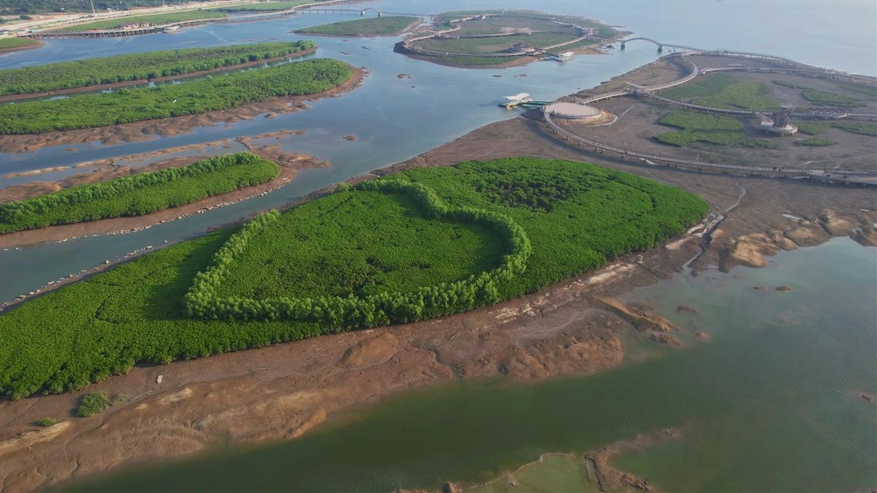 厦门航拍下潭尾湿地公园