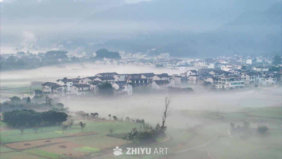 水墨画般的乡村晨景 18