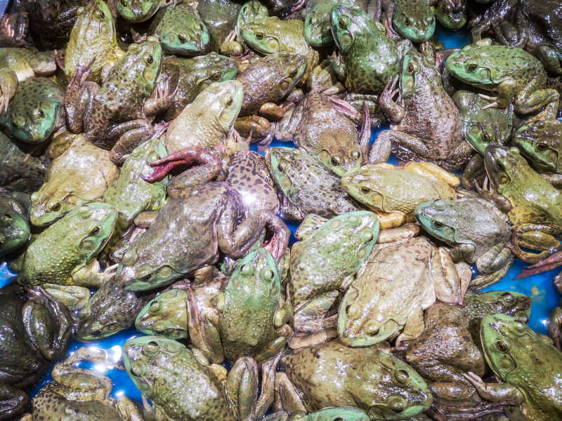超市生鲜食品摄影图 