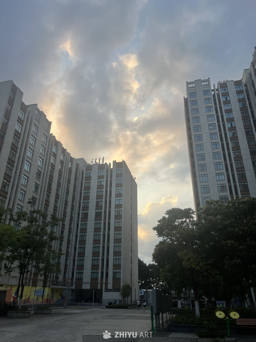 随手拍