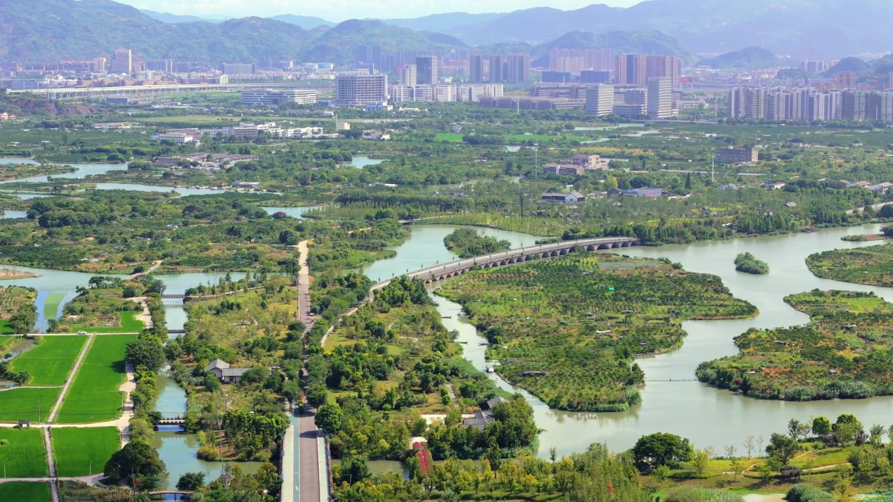 温州三垟湿地 6