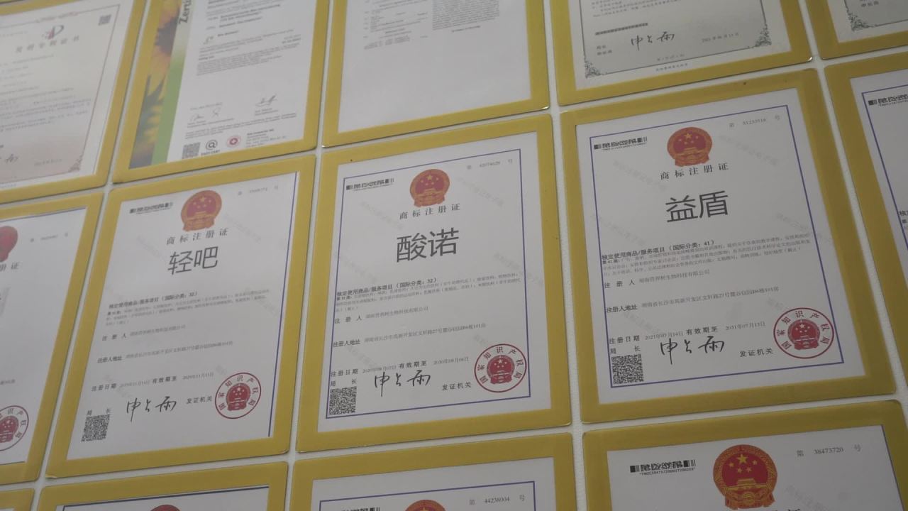 公司 17