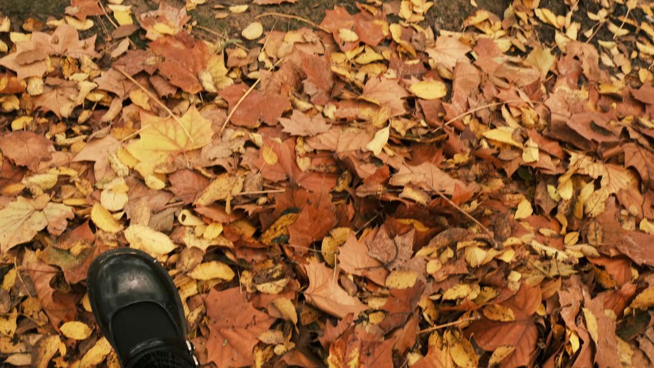 【实拍样片】富士X-S20相机实拍原片视频 9