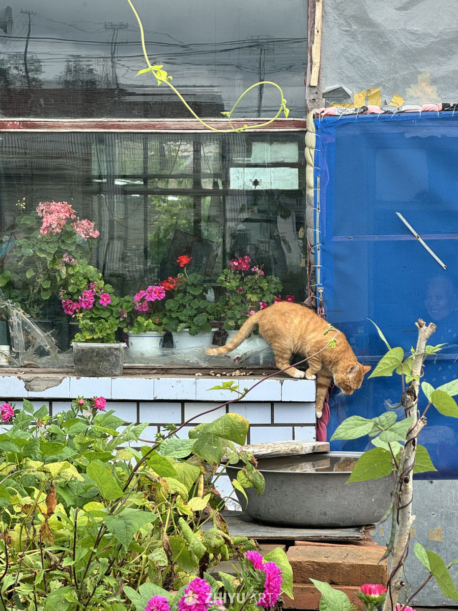 张北草原天路 34