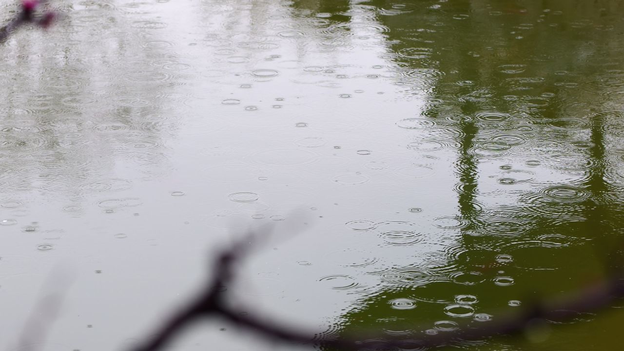池塘雨滴慢动作