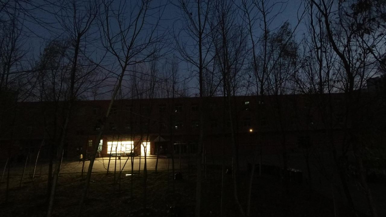 树林冬天天亮延时