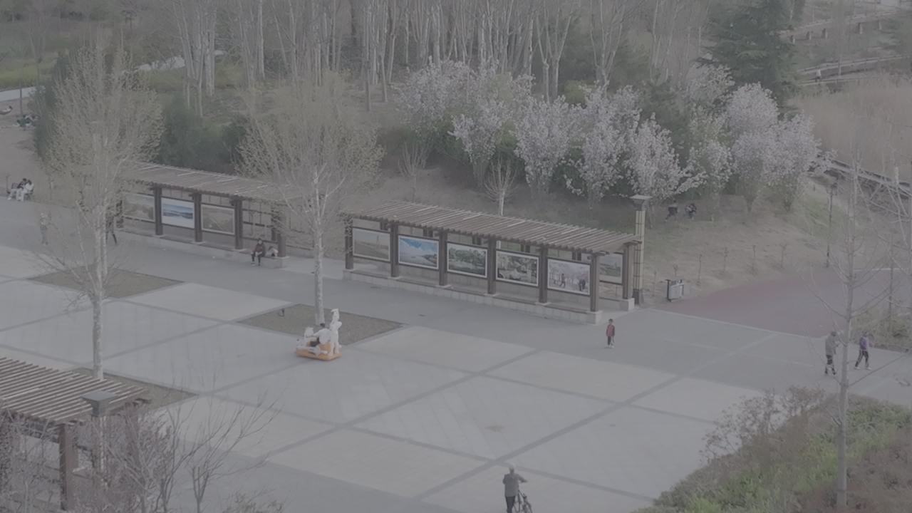 春日公园漫步